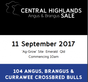 2017 Central Highland Angus Brangus Sale