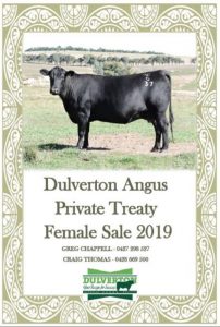 2019 Dulverton Female Sale