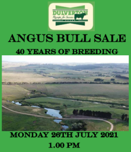 2021 Dulverton Angus Bull Sale